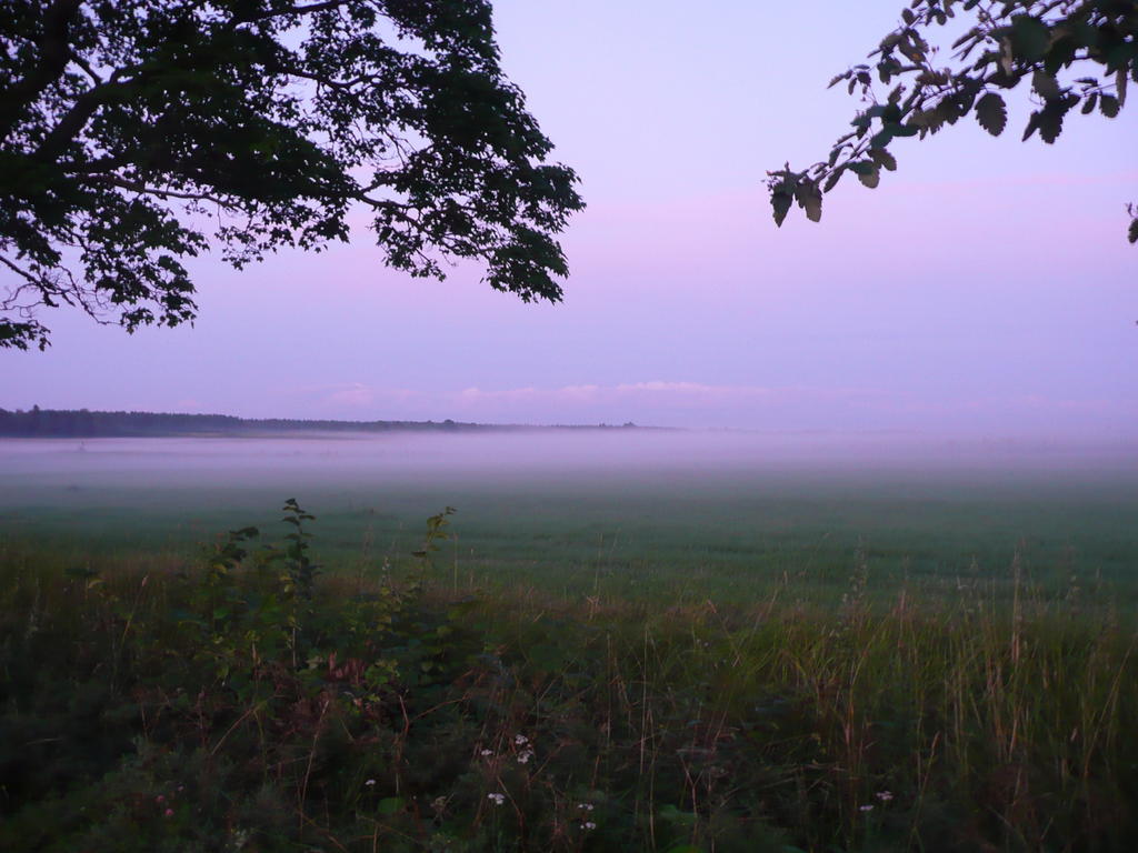 Skogis Bed & Breakfast Katrineholm Luaran gambar