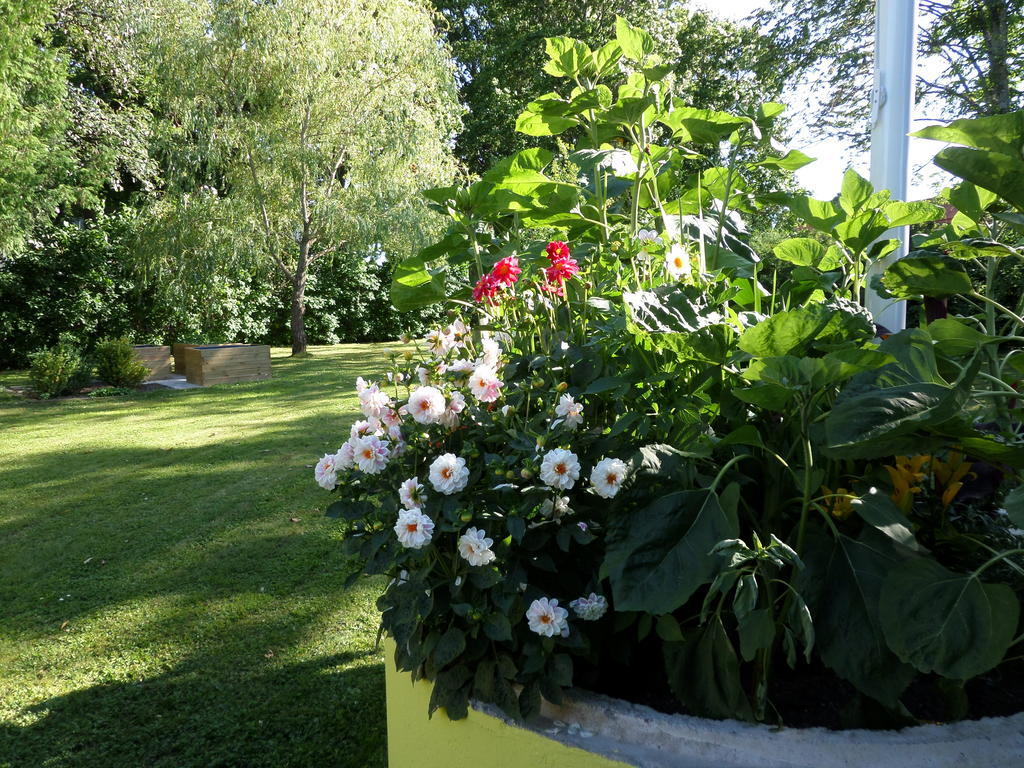 Skogis Bed & Breakfast Katrineholm Luaran gambar