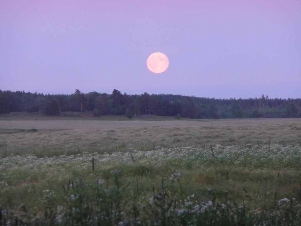 Skogis Bed & Breakfast Katrineholm Luaran gambar